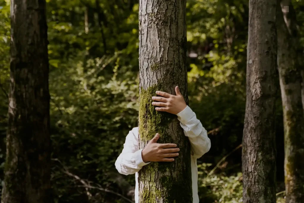 Behind the Lens Sports: The Art of Capturing the Game