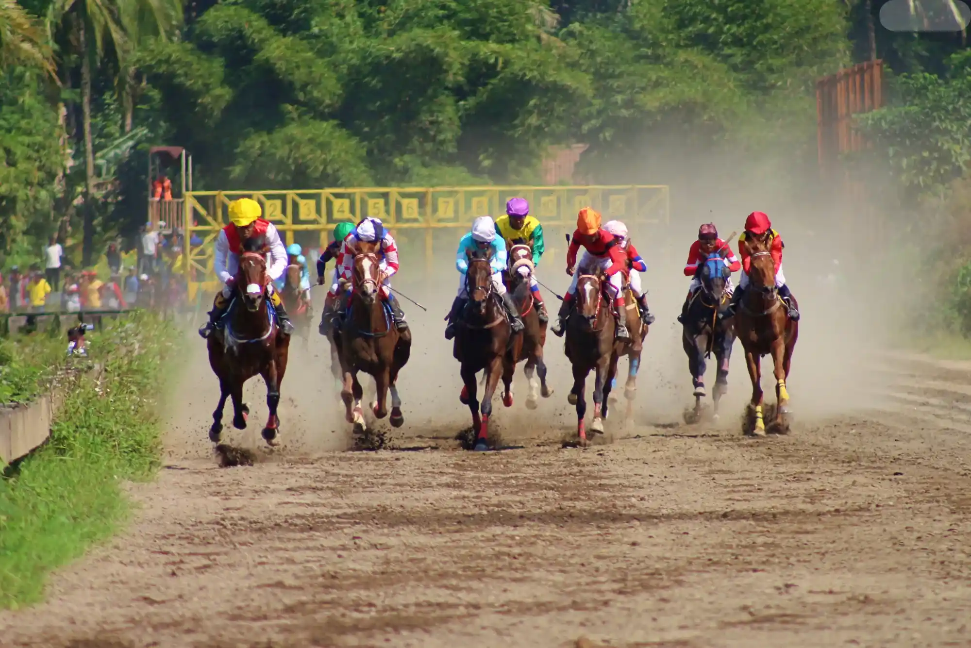 Mastering Horse Racing Betting: Strategies & Trusted Platforms